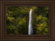 Load image into Gallery viewer, Akaka Falls, Hawaii