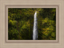 Load image into Gallery viewer, Akaka Falls, Hawaii