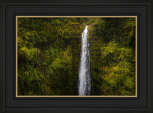 Load image into Gallery viewer, Akaka Falls, Hawaii