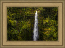 Load image into Gallery viewer, Akaka Falls, Hawaii