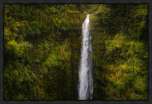 Load image into Gallery viewer, Akaka Falls, Hawaii
