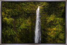 Load image into Gallery viewer, Akaka Falls, Hawaii