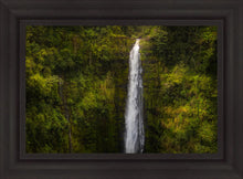 Load image into Gallery viewer, Akaka Falls, Hawaii