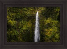 Load image into Gallery viewer, Akaka Falls, Hawaii