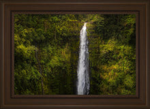 Load image into Gallery viewer, Akaka Falls, Hawaii