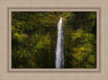 Load image into Gallery viewer, Akaka Falls, Hawaii