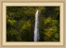 Load image into Gallery viewer, Akaka Falls, Hawaii