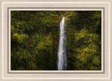 Load image into Gallery viewer, Akaka Falls, Hawaii