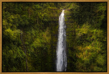 Load image into Gallery viewer, Akaka Falls, Hawaii