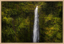 Load image into Gallery viewer, Akaka Falls, Hawaii