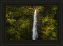 Load image into Gallery viewer, Akaka Falls, Hawaii