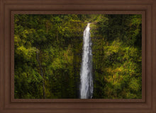 Load image into Gallery viewer, Akaka Falls, Hawaii