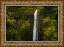 Load image into Gallery viewer, Akaka Falls, Hawaii