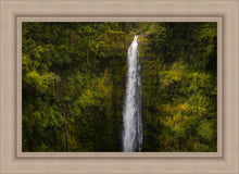 Load image into Gallery viewer, Akaka Falls, Hawaii