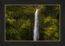 Load image into Gallery viewer, Akaka Falls, Hawaii