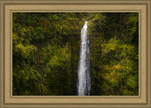 Load image into Gallery viewer, Akaka Falls, Hawaii