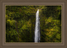 Load image into Gallery viewer, Akaka Falls, Hawaii