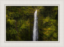 Load image into Gallery viewer, Akaka Falls, Hawaii