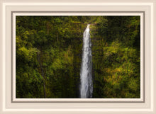 Load image into Gallery viewer, Akaka Falls, Hawaii