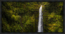 Load image into Gallery viewer, Akaka Falls, Hawaii