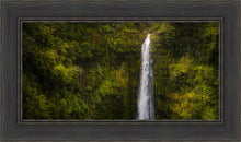 Load image into Gallery viewer, Akaka Falls, Hawaii