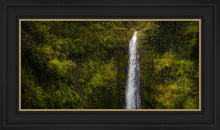 Load image into Gallery viewer, Akaka Falls, Hawaii