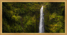 Load image into Gallery viewer, Akaka Falls, Hawaii