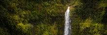 Load image into Gallery viewer, Akaka Falls, Hawaii
