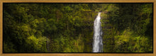 Load image into Gallery viewer, Akaka Falls, Hawaii