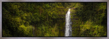 Load image into Gallery viewer, Akaka Falls, Hawaii