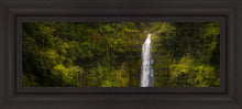 Load image into Gallery viewer, Akaka Falls, Hawaii