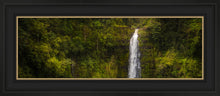 Load image into Gallery viewer, Akaka Falls, Hawaii