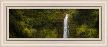 Load image into Gallery viewer, Akaka Falls, Hawaii