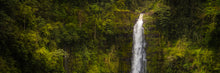 Load image into Gallery viewer, Akaka Falls, Hawaii