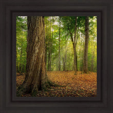 Load image into Gallery viewer, Oh How Lovely was the Morning