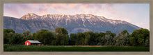 Load image into Gallery viewer, The Red Barn