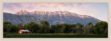Load image into Gallery viewer, The Red Barn