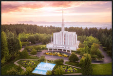 Load image into Gallery viewer, Seattle from on High