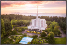 Load image into Gallery viewer, Seattle from on High