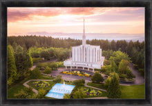 Load image into Gallery viewer, Seattle from on High