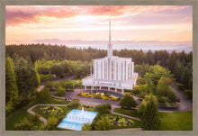 Load image into Gallery viewer, Seattle from on High