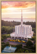 Load image into Gallery viewer, Seattle from on High
