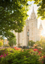 Load image into Gallery viewer, Salt Lake - The Lord is My Light
