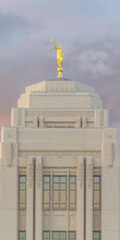 Load image into Gallery viewer, Meridian Moroni