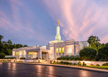 Load image into Gallery viewer, Louisville House of Peace