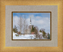 Load image into Gallery viewer, Boston Winter Morning