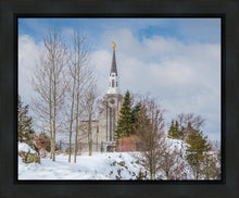 Load image into Gallery viewer, Boston Winter Morning