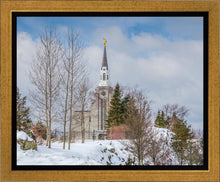 Load image into Gallery viewer, Boston Winter Morning
