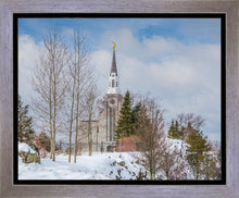 Load image into Gallery viewer, Boston Winter Morning