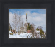 Load image into Gallery viewer, Boston Winter Morning